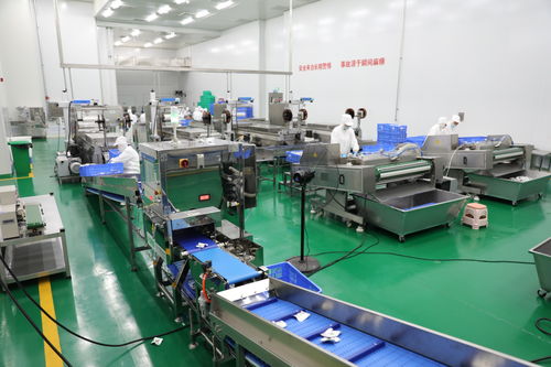 拜泉縣 技術(shù)咨詢賦能重點(diǎn)項(xiàng)目，全力開創(chuàng)建設(shè)新局面