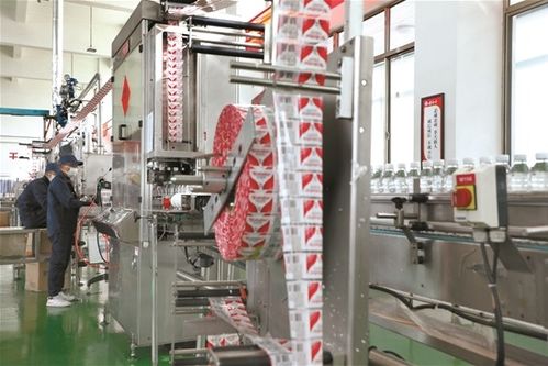 拉薩文明網(wǎng)技術(shù)咨詢服務(wù)指南 技術(shù)支持、常見問題與優(yōu)化建議